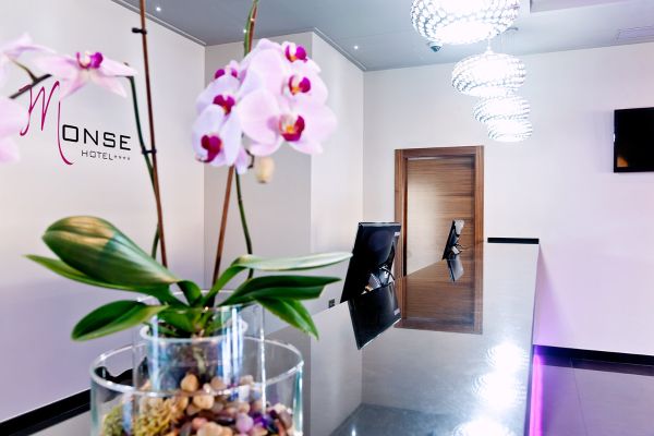 Doña Monse Hotel (Torrevieja)
